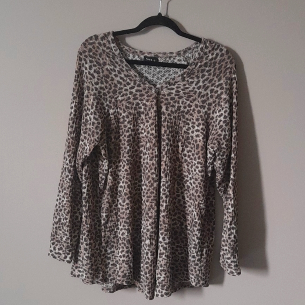 Torrid Top